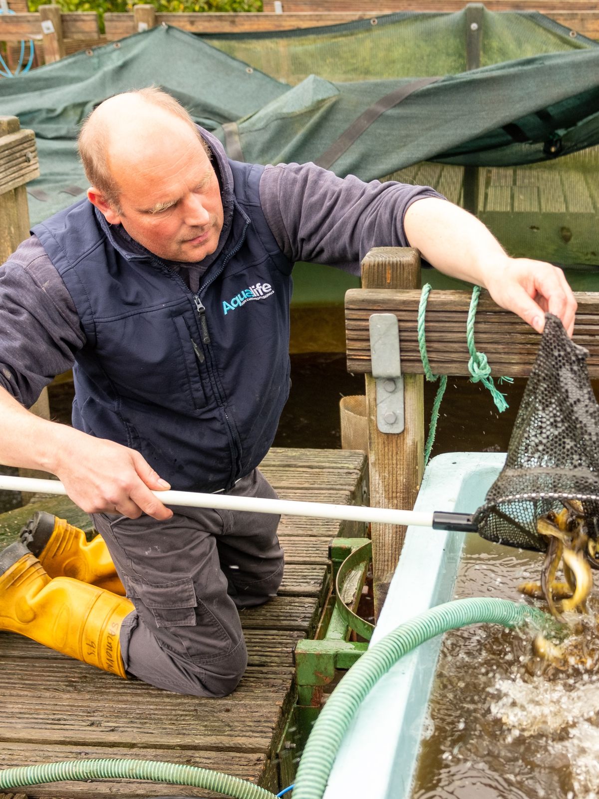 Aqualife team member, Philip Brown, working on some fish farm samples