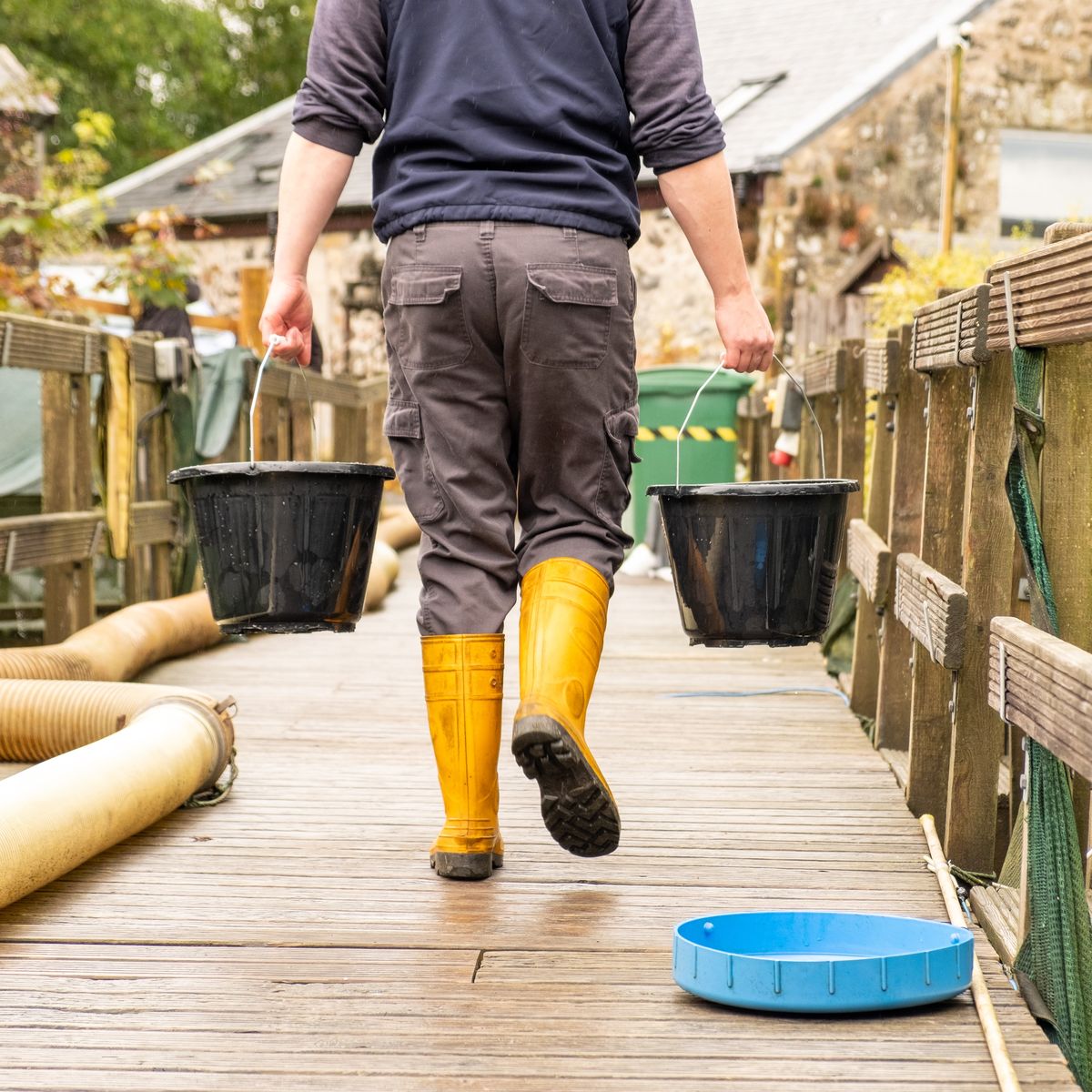 An Aqualife Team Member carrying fish samples walking away from the camera